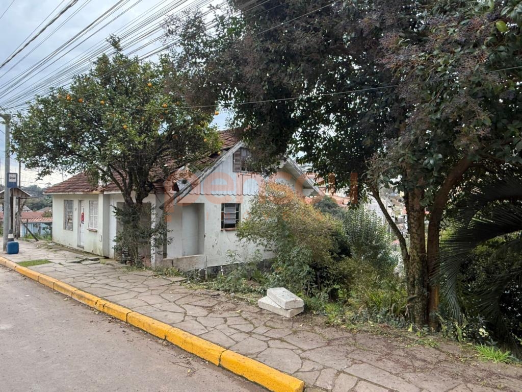 Terreno