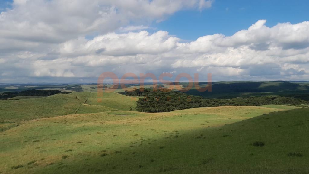 Área