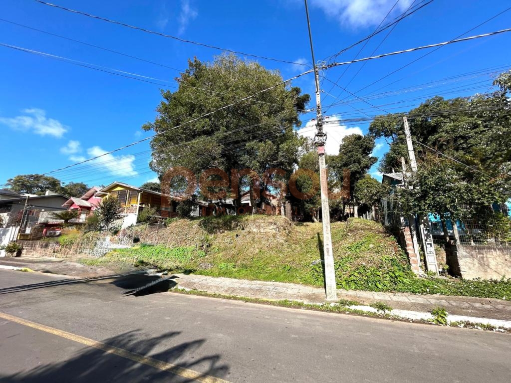 Terreno