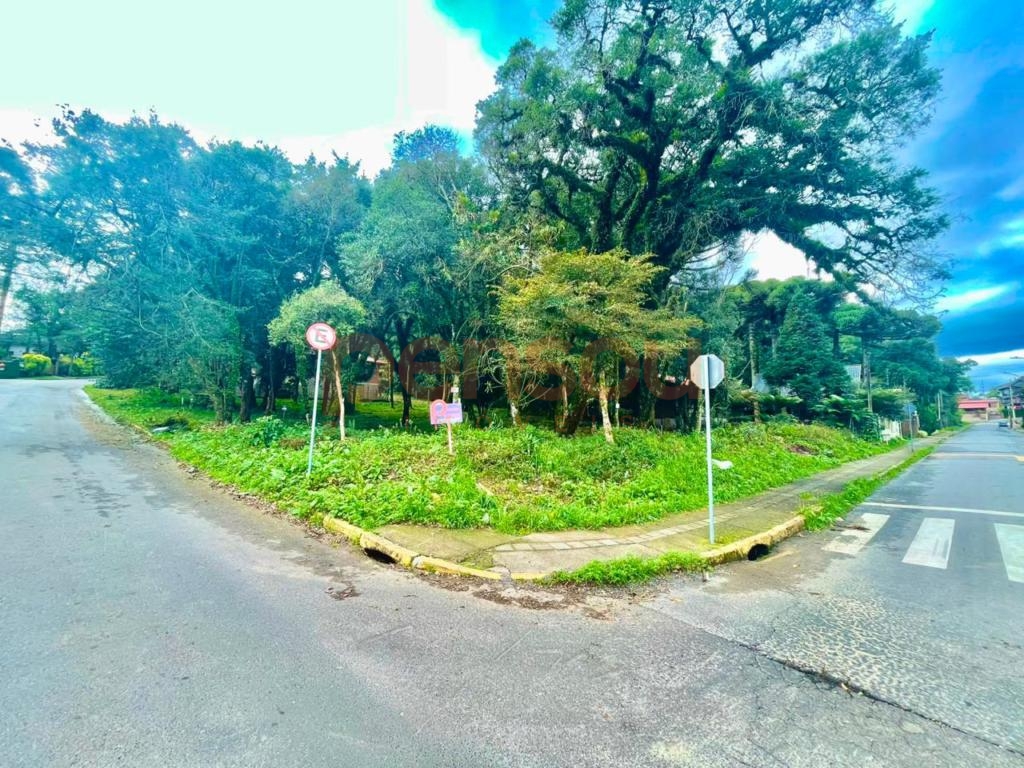 Terreno