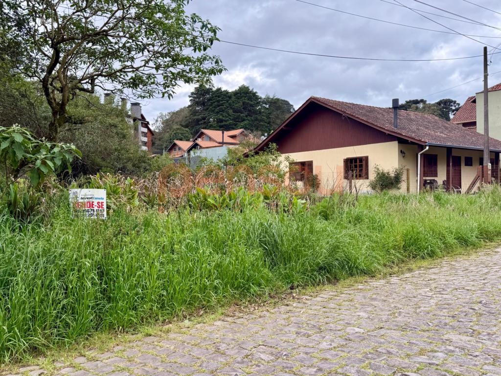 Terreno